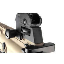 Load image into Gallery viewer, G&G Airsoft rifle CM16 RAIDER EGC-16P-RDS-DNB-NCM DST