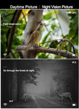 Load image into Gallery viewer, PARD NV019 IR/Night Vision Camcorder monocular