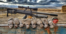 Load image into Gallery viewer, Lcs Air Arms SK-19 Full & Semi-auto AirRifle 5.5mm